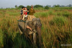 Elephant safari - Punjabi on the ride